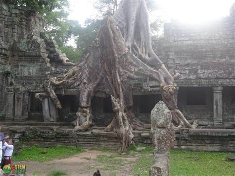 Preah Khan Temple Guide - The Royal Sword - Just Siem Reap