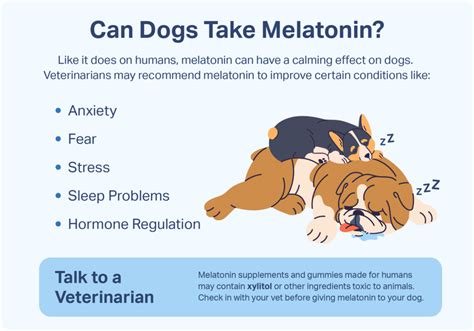 Melatonin for Dogs: Dosage, Benefits, and Safety