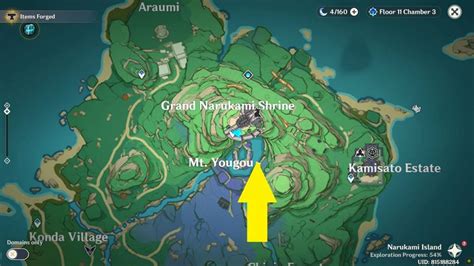 Narukami Island: All 38 Electroculus Location | Genshin Impact 2.0