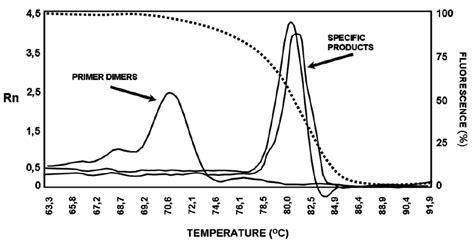 Melting Curve Analysis From A Real Time Pcr Assay The Dissociation ...