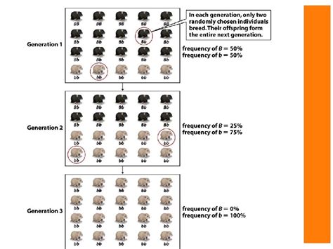 Processes of Evolution How gene pools change across