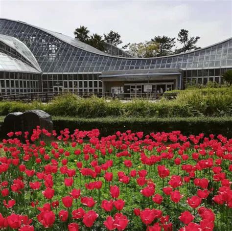 Is Kyoto Botanical Garden Worth Visiting? - Japan Truly