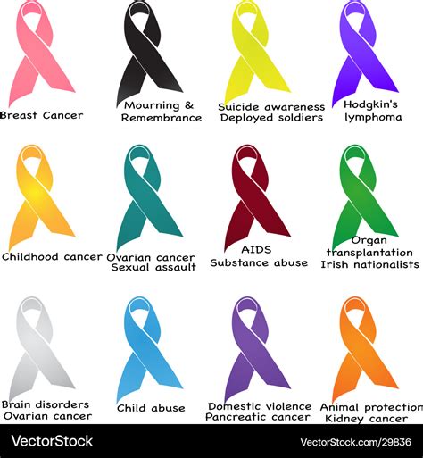 Awareness ribbons Royalty Free Vector Image - VectorStock