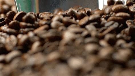 #秒懂#咖啡和咖啡豆的产地以及种类~