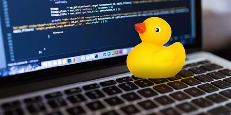 The Weirdest Programming Principles You've Never Heard Of | Rubber duck debugging, Rubber duck ...