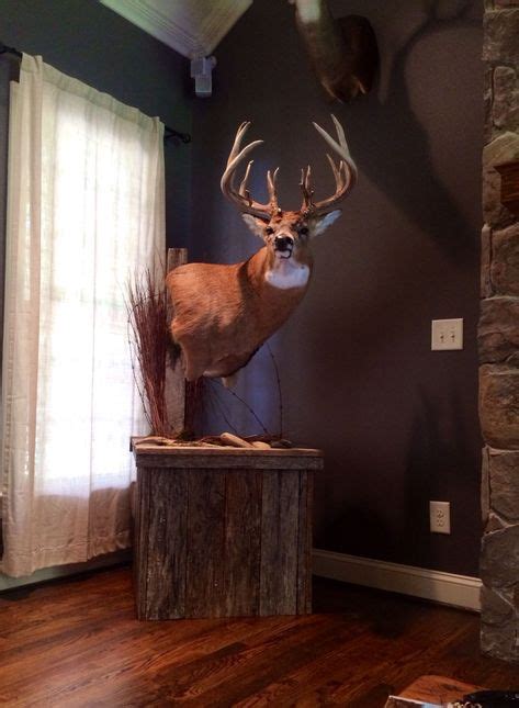 740 Trophy mounts ideas in 2021 | taxidermy, taxidermy display, deer mounts