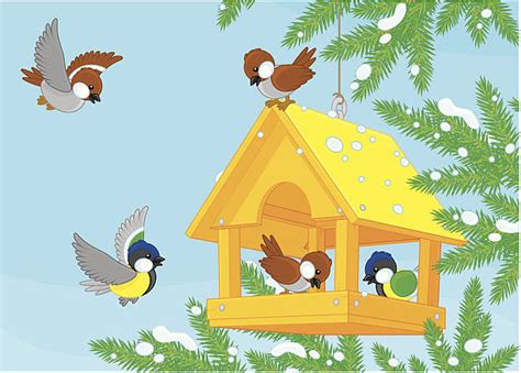 Cartoon Of Bird Feeders Illustrations, Royalty-Free Vector Graphics ...