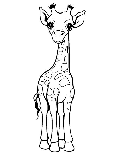 30 Giraffe Coloring Pages: Fun Free Sheets