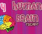 Human Brain Escape 4 Walkthrough