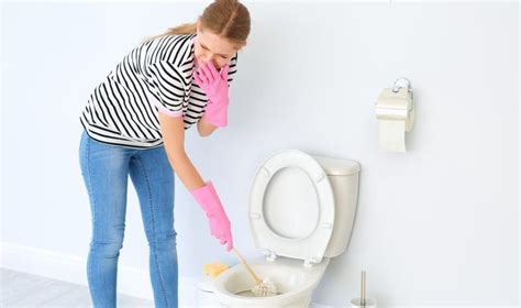 How To Get Rid of Sewage Smell In Your Bathroom? - Bond Cleaning in ...