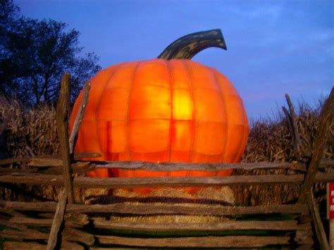 Merrymead Farm's 'Great Pumpkin' To Be Lit | Montgomeryville, PA Patch