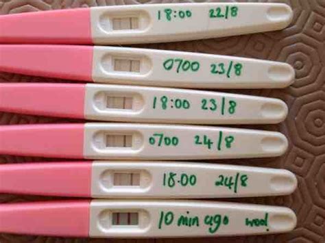 Question about reading results of ovulation test strip | Netmums