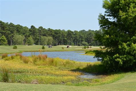 Gallery | Crow Creek Golf