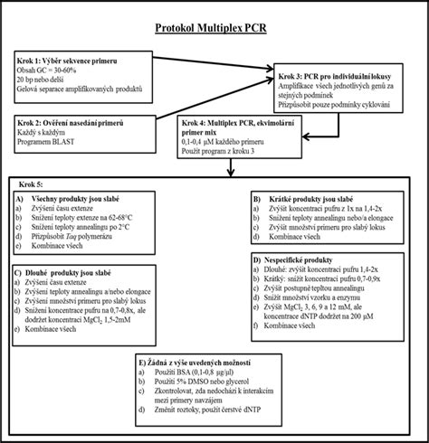 Optimalizace multiplex PCR