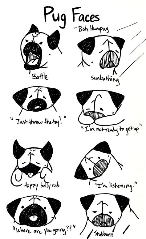 Bah Humpug: The Many Faces of Pug 2