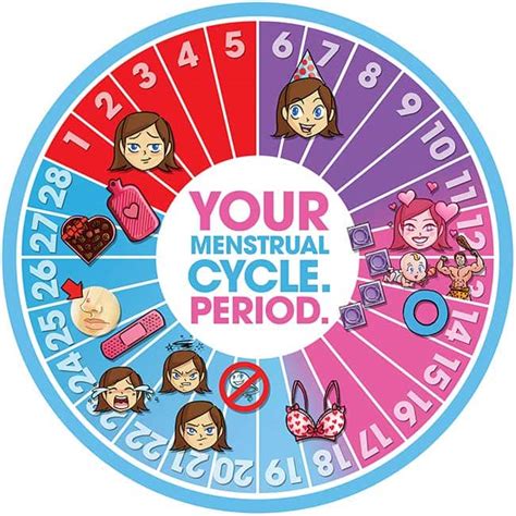 Map Your Menstrual Cycle Day-by-Day - Steven and Chris