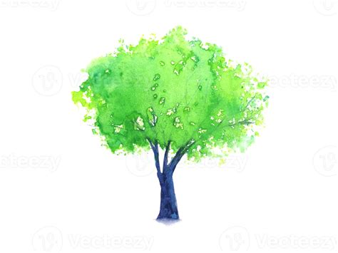 Shrubs Png Banner Transparent Watercolor Painting Tre - vrogue.co