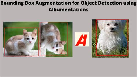 Bounding Box Augmentation for Object Detection using Albumentations