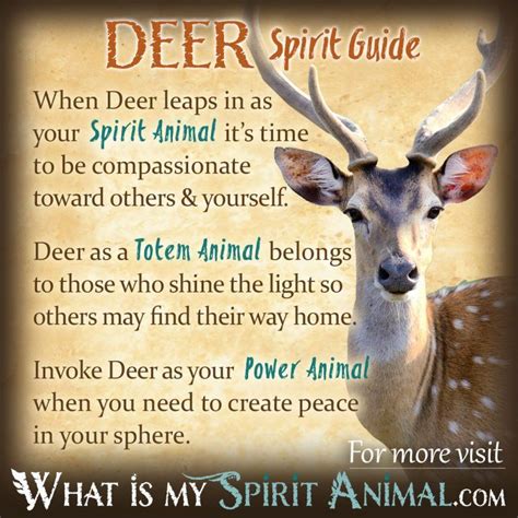 Deer Symbolism & Meaning | Spirit, Totem & Power Animal