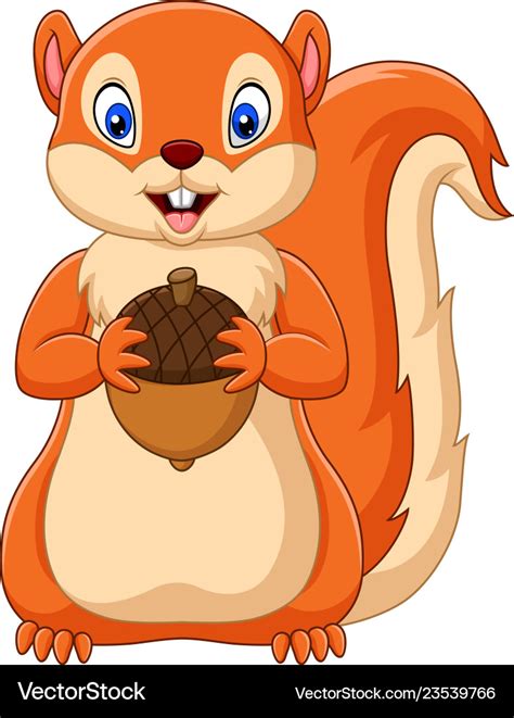 Cartoon squirrel holding nut Royalty Free Vector Image