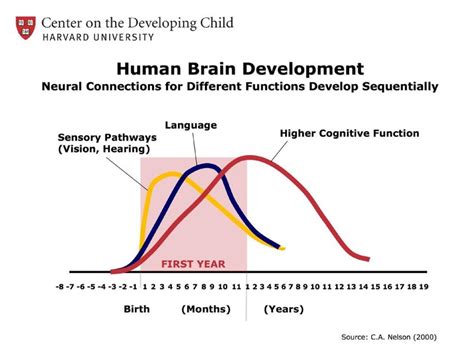 1 Human brain development | Download Scientific Diagram