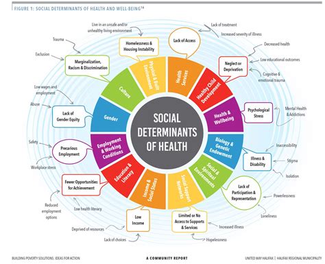 What Are the Social Determinants of Health? - United Way Halifax