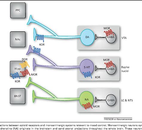 Figure 1 from Opioid receptors: distinct roles in mood disorders ...