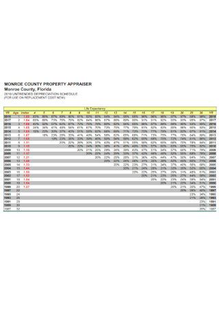 27+ SAMPLE Depreciation Schedules in PDF | MS Word | Excel