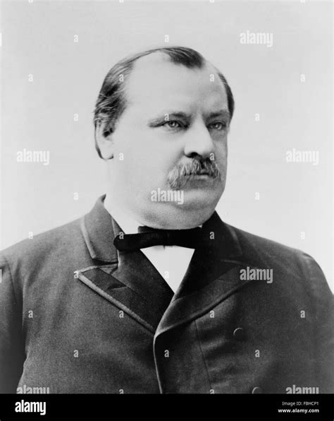 Grover Cleveland, portrait of the 22nd and 24th US President , taken ...