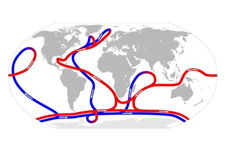 The pattern of thermohaline circulation | Encounter Edu