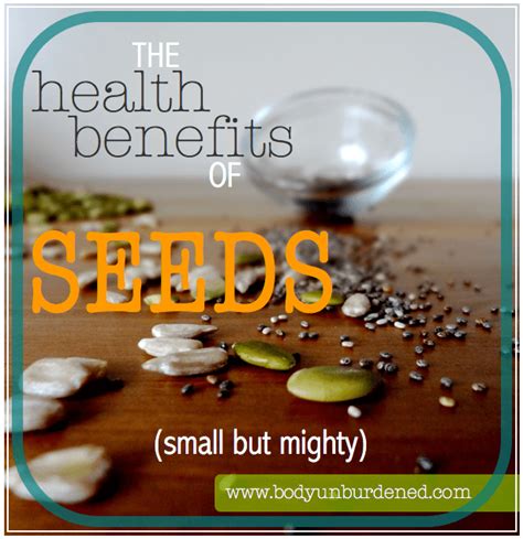 Small but mighty: The health benefits of seeds - Body Unburdened