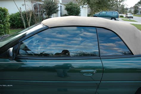 File:Window tint car.jpg - Wikipedia