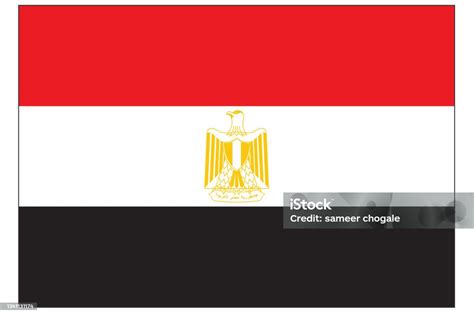 Egypt Flag Official Colors And Proportion Correctly National Egypt Flag Vector Illustration ...