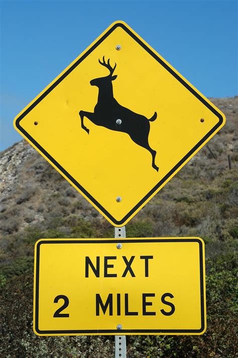 Do Road Hazard Signs Like "Deer Crossing" and "Falling Rocks" Actually Prevent Accidents?