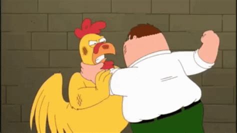 GIF de Chicken Fight | Tenor