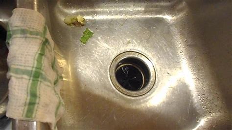 Clogged Double Kitchen Sink Garbage Disposal | Wow Blog