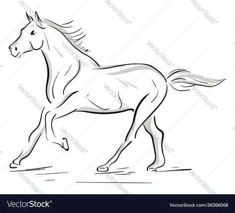 A running horse silhouette or color Royalty Free Vector