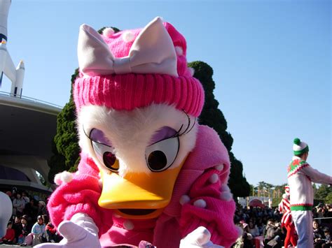 Daisy Duck - Disney Photo (41500370) - Fanpop