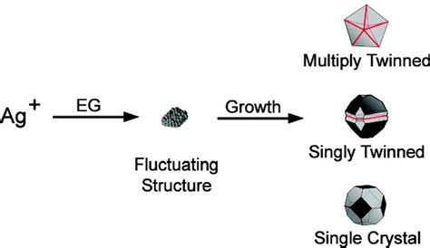 Illustration of the reaction paths leading to well-defined silver ...