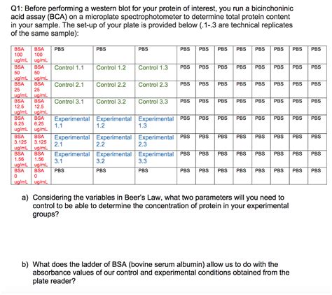 Solved Q1: Before performing a western blot for your protein | Chegg.com