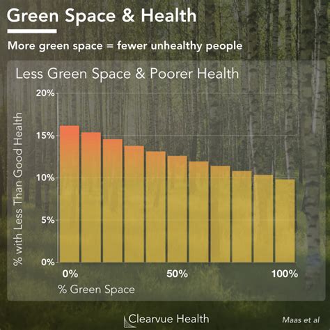 Health Benefits of Forests | Visualized Health