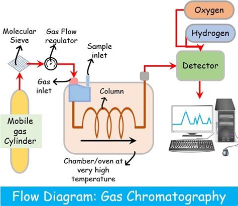 Difference Between Gas and Liquid Chromatography (with Comparison Chart) - Bio Differences