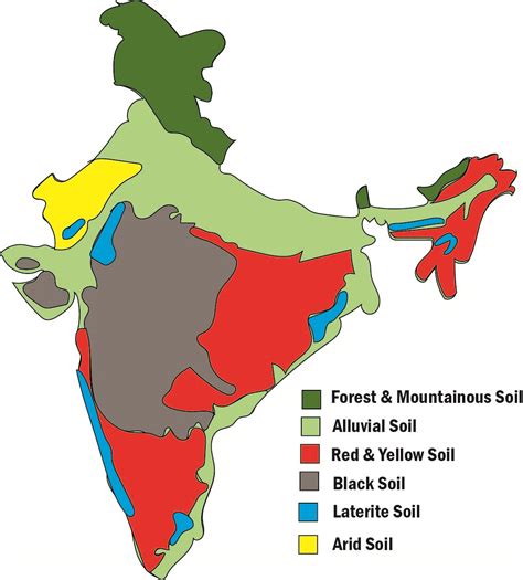 Major Soil Types In India Map Work Cbse Ncert Class 10 Geography | Images and Photos finder