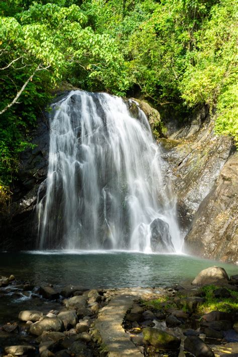 Guide to Hiking Vuadomo Waterfall in Savusavu, Fiji - Tropical Go!