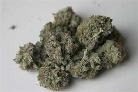 Blackberry Kush Strain Information & Reviews | Where's Weed