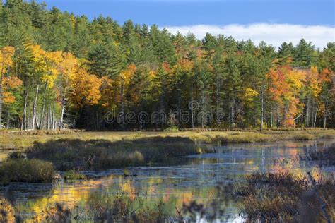 Fall Foliage and Reflections in Plymouth, New Hampshire. Stock Image ...