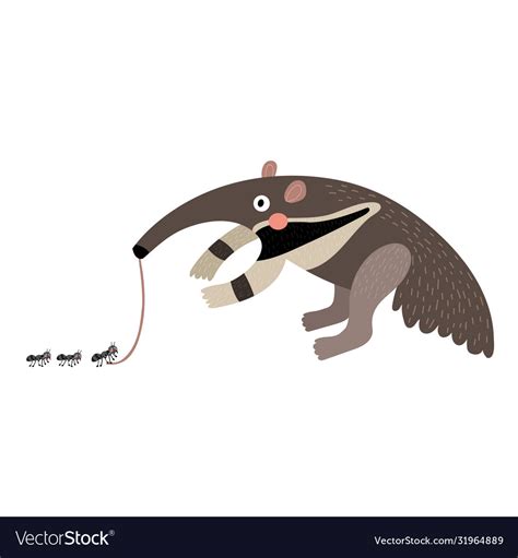 Anteater eating ants Royalty Free Vector Image