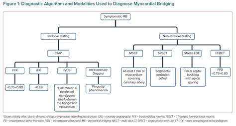 Myocardial Bridge Symptoms - Best Image Viajeperu.org