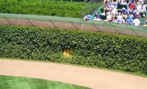 Wrigley Field: A Legendary Baseball Destination - BASEBALLPROPICKS