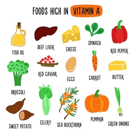 Premium Vector | Food with a high content of vitamin a vector image healthy food products rich ...